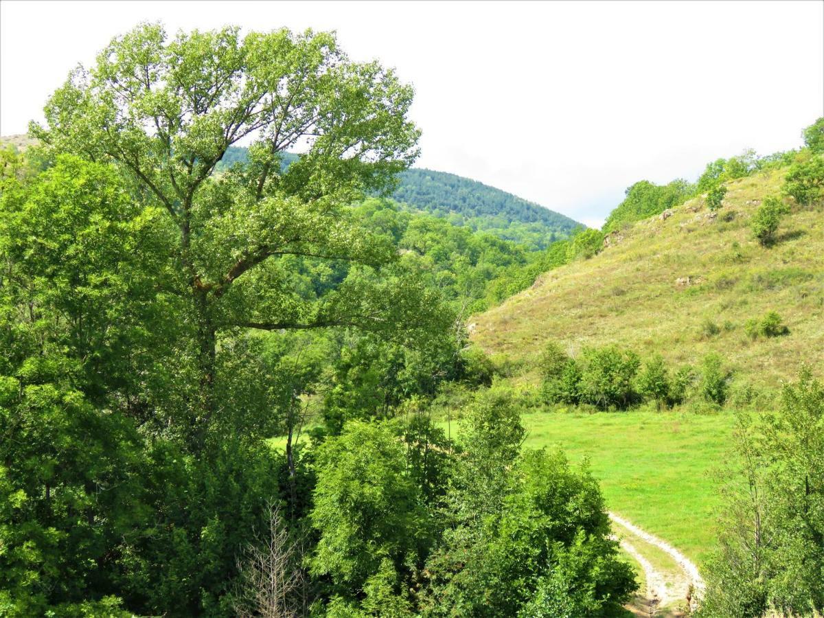 Vaque Villeneuve Des Escaldes Angoustrine Экстерьер фото